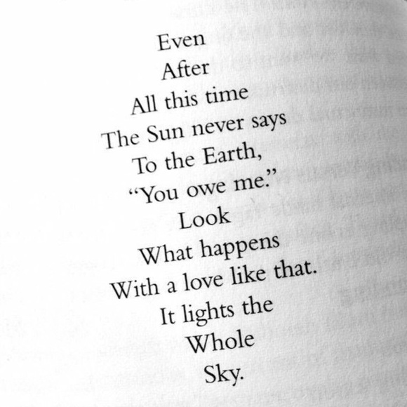 Nothing would grow without the 💞 of the sun ☀️ - Picture 1 of 1